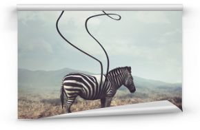 Zebra i paski XXL