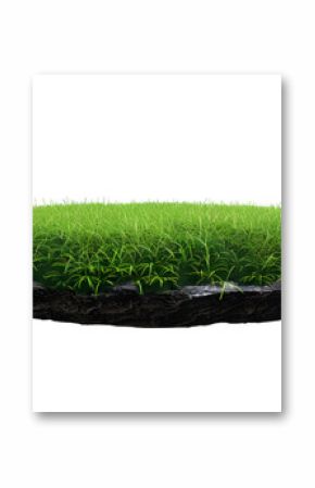 grass green circle land ground floor garden or garden earth soil land layer and green grass floor circle section land isolated on white background. 3d illustration render