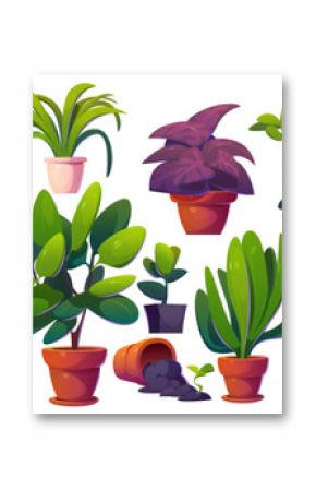Greenhouse and gardening elements. Cartoon vector illustration set of pants in pot, wooden rack and chair, empty flowerpots. Glasshouse or conservatory room interior houseplants and greenery.