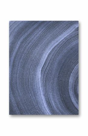 Faded denim blue gray cut wood texture. Detailed black and white texture of a felled tree trunk or stump. Rough organic tree rings with close up of end grain.
