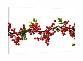 PNG Christmas garland christmas cherry plant.
