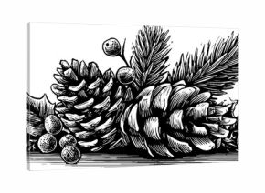 Engraved decorative christmas frame with pine branches and cones for holiday design