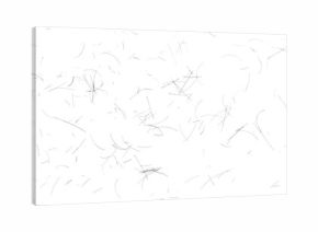 human hair scattered isolated in white background and texture, clipping path