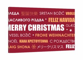 merry christmas greeting card with text in different languages vector illustration