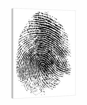 Realistic human fingerprint