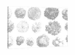 Fifteen top down view illustrations of various trees rendered in grey stippling on a white background