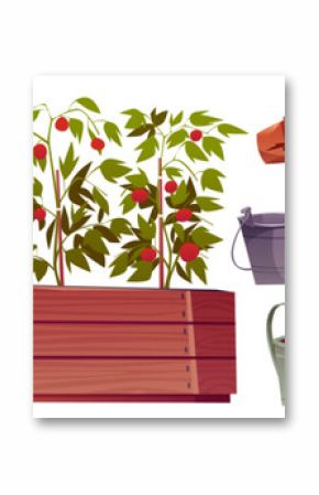 Greenhouse furniture and plants set isolated on white background. Vector cartoon illustration of tomato bushes growing in wooden box, green grass in flowerpot, clay pots stack, metal bucket, waterer