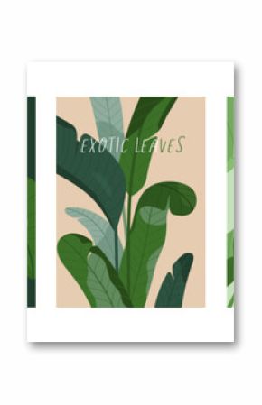 Tropical leaf plant, posters set. Exotic botanical cards with big green leaves, greenery. Natural floral backgrounds. Flora, vegetations, modern eco wall art collection. Flat vector illustration