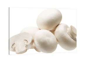 Group of white button mushrooms isolated