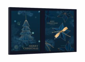 Christmas vector poster set with gold snowflakes, ribbon ornaments, glowing star and abstract tree forms in dark teal — luxury festive design for Christmas cards.