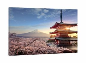 Fujiyoshida, Japan Beautiful view of mountain Fuji and Chureito pagoda at sunset, japan in the spring with cherry blossoms