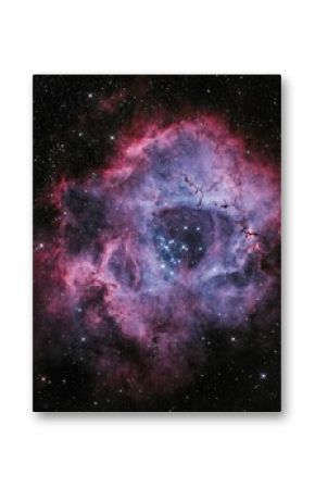 Beautiful shot of the colored rosette nebula in a starry galaxy sky