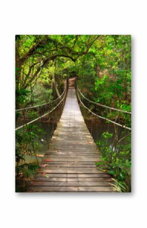 Fototapeta Most przez dżunglę, park narodowy Khao Yai, Tajlandia wysoka