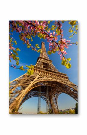 Wieża Eiffla w okresie wiosennym w Paryżu, Francja