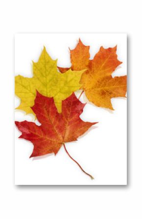 Basic_Autumn_Leaves