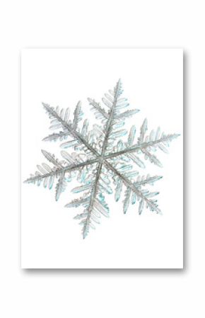 Real snowflake photo (large stellar dendrite crystal), isolated on white background