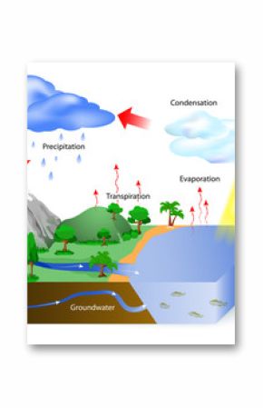 water cycle