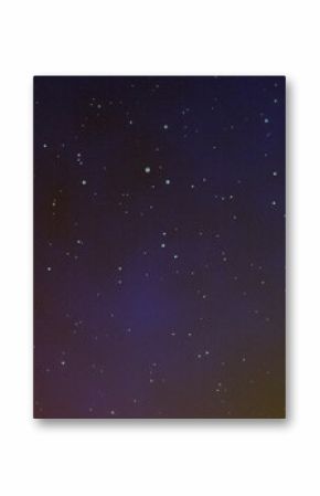 Glowing star-like points drifting across gradient backdrop, with neon-blue grid lines receding