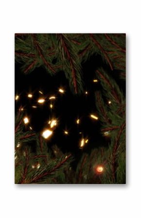 Image of snow falling over fir tree branches and fairy lights