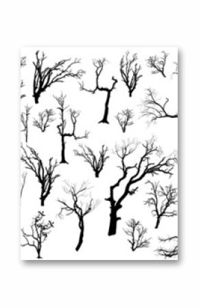 Isolated Concept Of Dead Trees Set