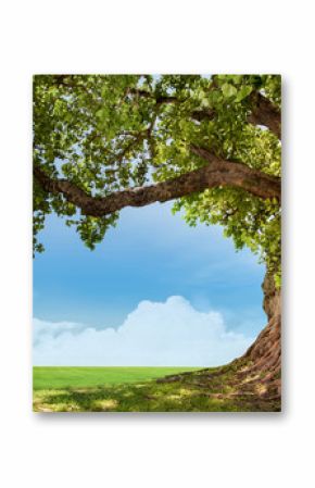 pring meadow with big tree with fresh green leaves