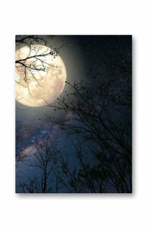 Beautiful milky way star in night skies, full moon and old tree - Retro fantasy style artwork with vintage color tone.