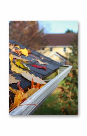 Autumn leaves in a rain gutter on a roof, Shallow focus in foreground