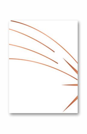 Showing minimalist peach eight-pointed star shooting three curved streaks on transparent background