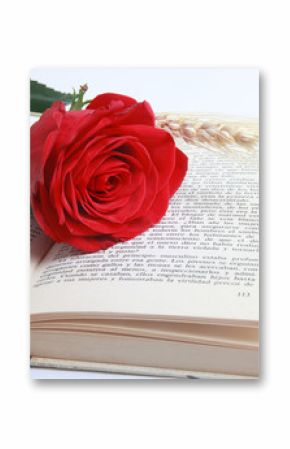 sant jordi