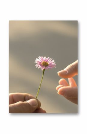 Hand gives a flower