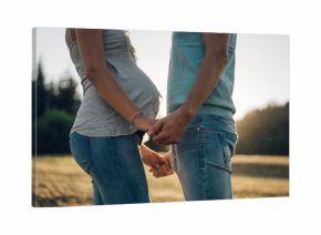 Couple expecting a child holding hands facing each other.