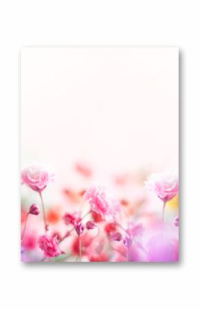Wiosenna kompozycja kwiatowa wykonana ze świeżych kolorowych kwiatów na jasnym pastelowym tle. Świąteczny kwiat koncepcja z miejsca kopiowania.