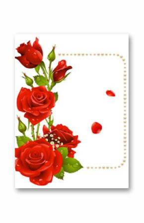 Vector red rose and pearls frame