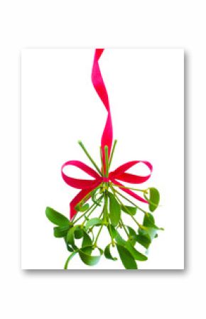 Mistletoe bunch hanged on red ribbon isolated on a white background