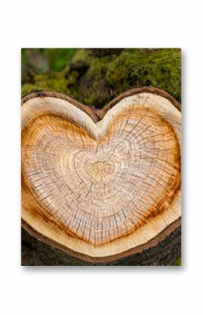 Heart of tree