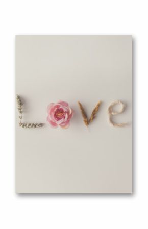 Word LOVE made out of various natural things. Flat lay. Love con