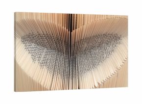 bladzijde van boek in hartvorm