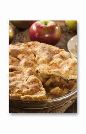 Homemade Organic Apple Pie Dessert