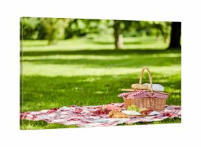 Delicious picnic spread with fresh food
