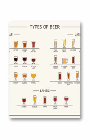 Types of beer. Various types of beer in recommended glasses. Vector illustration