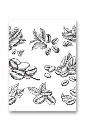 coffee grains and leaves in graphic style hand-drawn vector illustration.