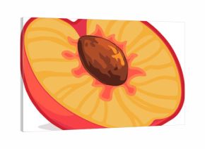 Cartoon-style peach half is resting on transparent background, showing central pit and drop shadow
