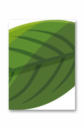 Green leaf vector style graphic is showing stylized midrib and veins, transparent background