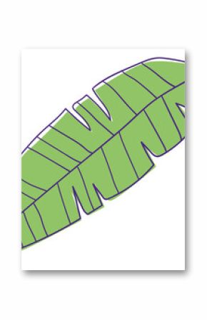 Stylized green banana leaf is floating on transparent background, showing central vein and lobes