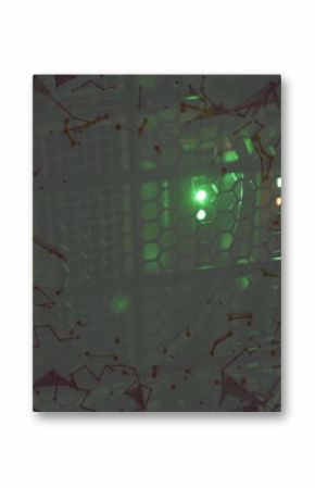 Featuring rack front panel showing honeycomb grill at data center, with LEDs and network overlay