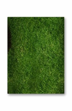 Flat design showing top-down view of curved dense green grass stripe flanked by dark soil