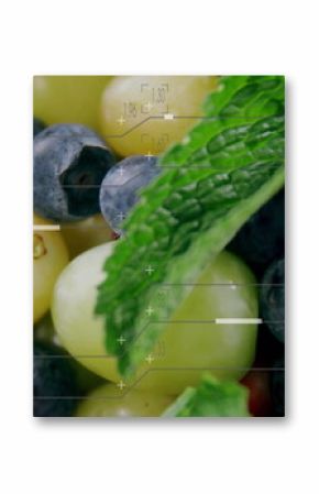 Showcasing blueberries, green grapes and strawberry half glistening in food studio with mint leaves