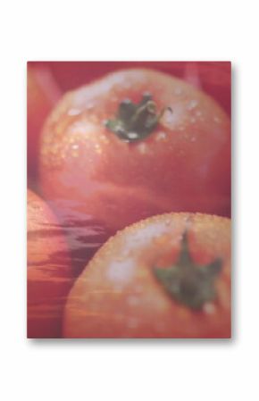 Displaying cluster of green-stemmed red tomatoes glistening with water droplets on red surface