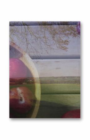 Displaying wooden bowl of glossy red plums resting on slatted wooden table with rural field overlay