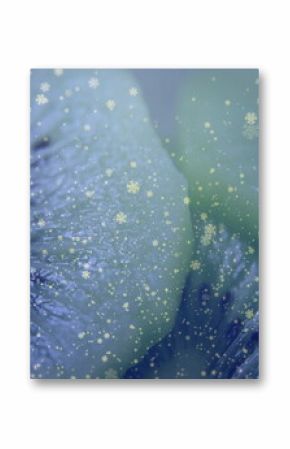 Displaying macro kiwi fruit slice showing blue-green pulp texture in studio, with snowflake icons
